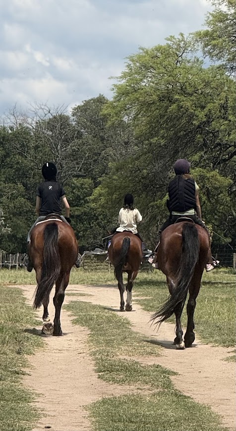 Dos jinetes paseando entre los árboles del predio de Equisapiens