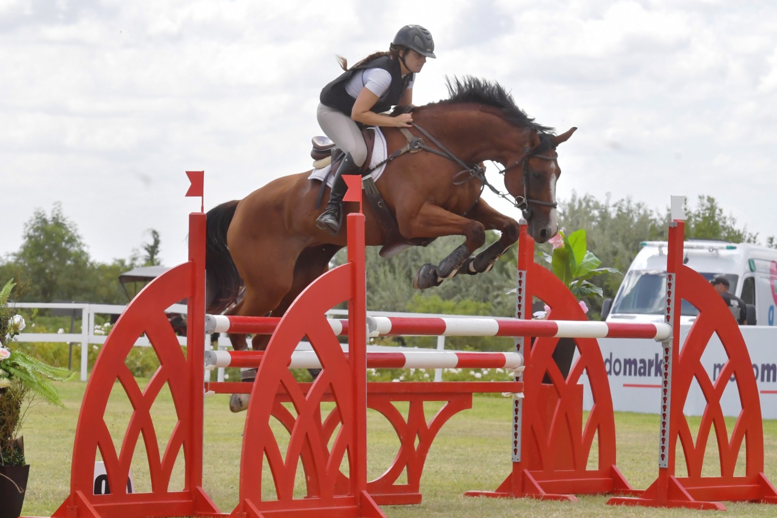 Jinete practicando salto ecuestre en Equisapiens